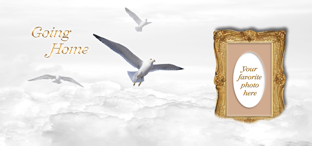 Going Home Clouds Birds White-Gold